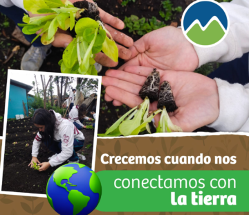Lee más sobre el artículo Crecemos cuando conectamos con la tierra